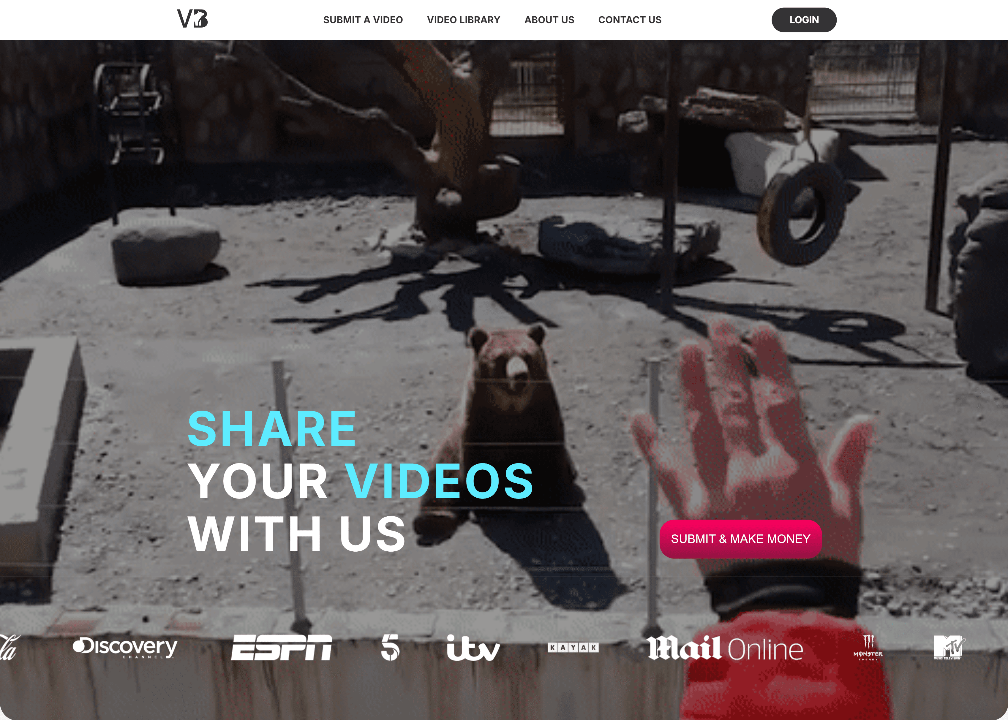 ViralBear — Платформа управления видеоконтентом